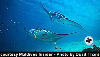 courtesy Maldives Insider - Dusit Thani Maldives invites Maldives adventure with Majestic Manta Escape package