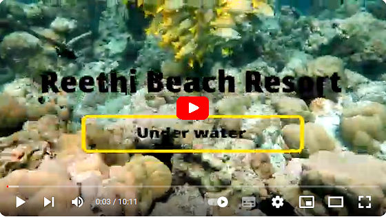 Youtube Video by Petr Stalcik - Reethi Beach under Water