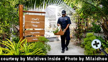 courtesy Maldives Insider - Milaidhoo Maldives make Cocktails with fresh Ingredients