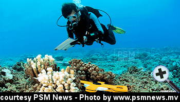 courtesy PSM News - Marine Scientist documenting Reef and coral Health during a Dive