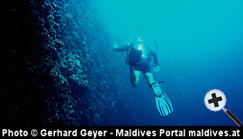 courtesy Maldives Portal - Diving on the Ellaidhoo House-Reef