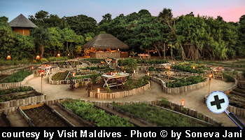 courtesy VisitMaldives - Vegetable Garden on Soneva Jani