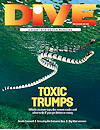 Dive Magazine