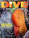 Dive Magazine